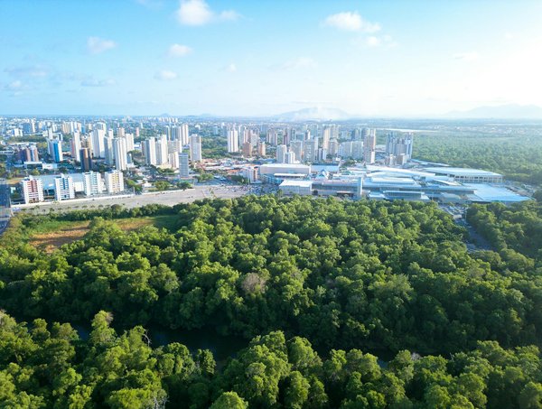 Le rôle de la magie dans les célébrations culturelles
