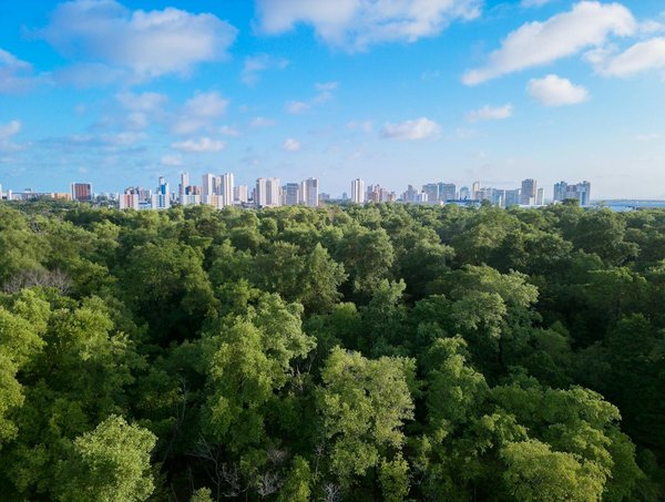 Religions: la liste des animaux spirituels