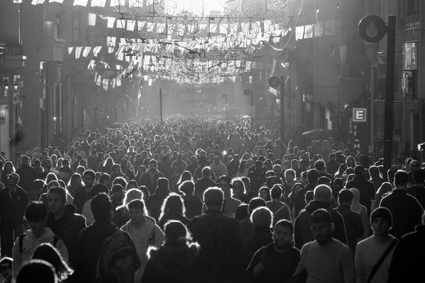 Qui appeler pour une animation séminaire ?