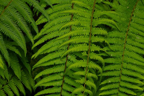 Comment Barnes Provence assure-t-il la confidentialité des transactions immobilières ?