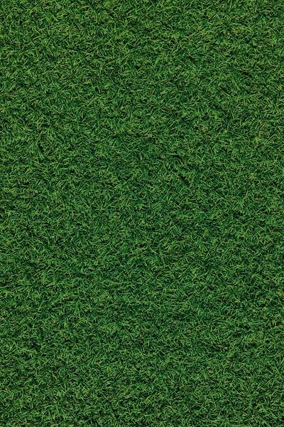 Quelle différence entre gazon naturel et synthétique ?
